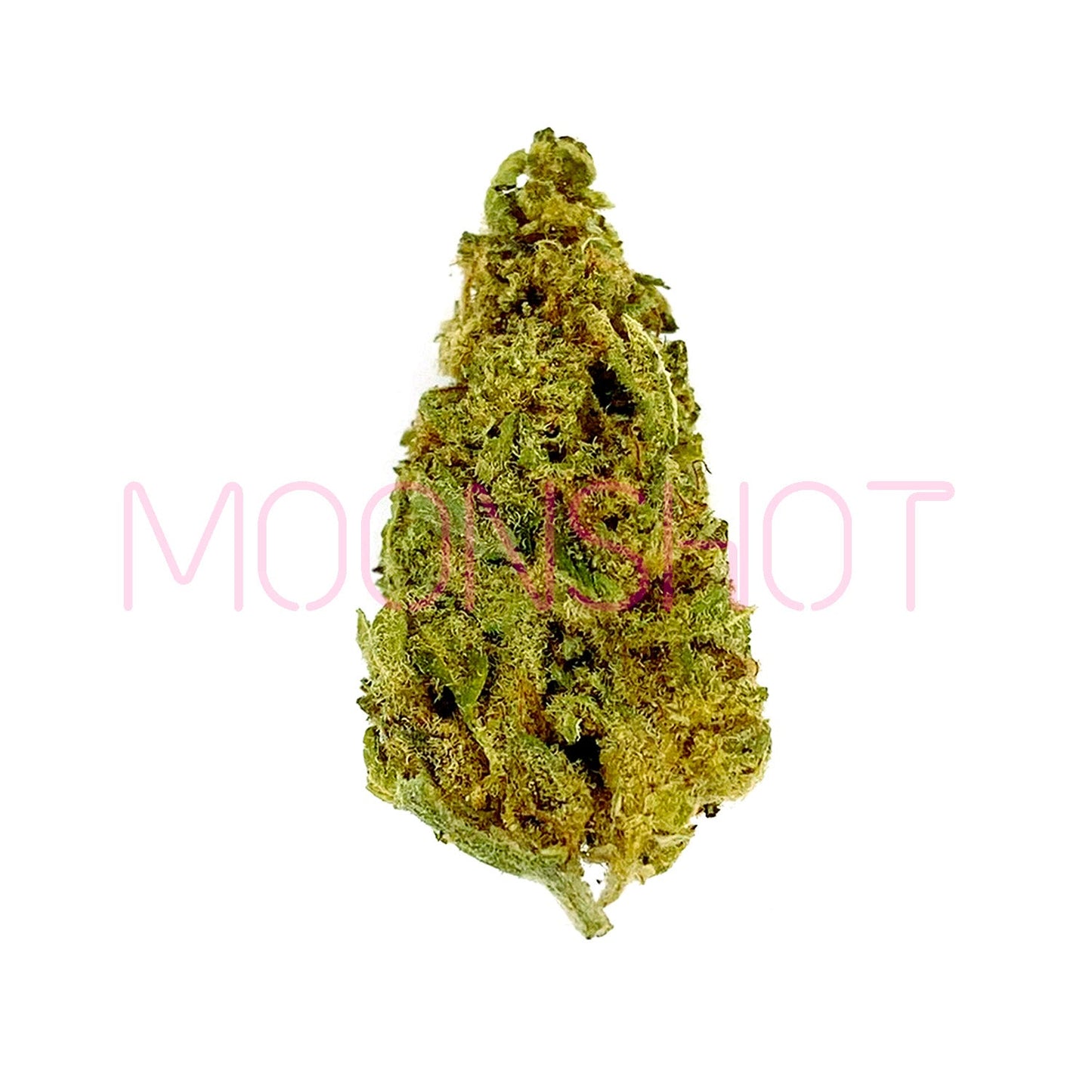 A nug of cannabis flower from the Gary Payton strain sits against a white background.