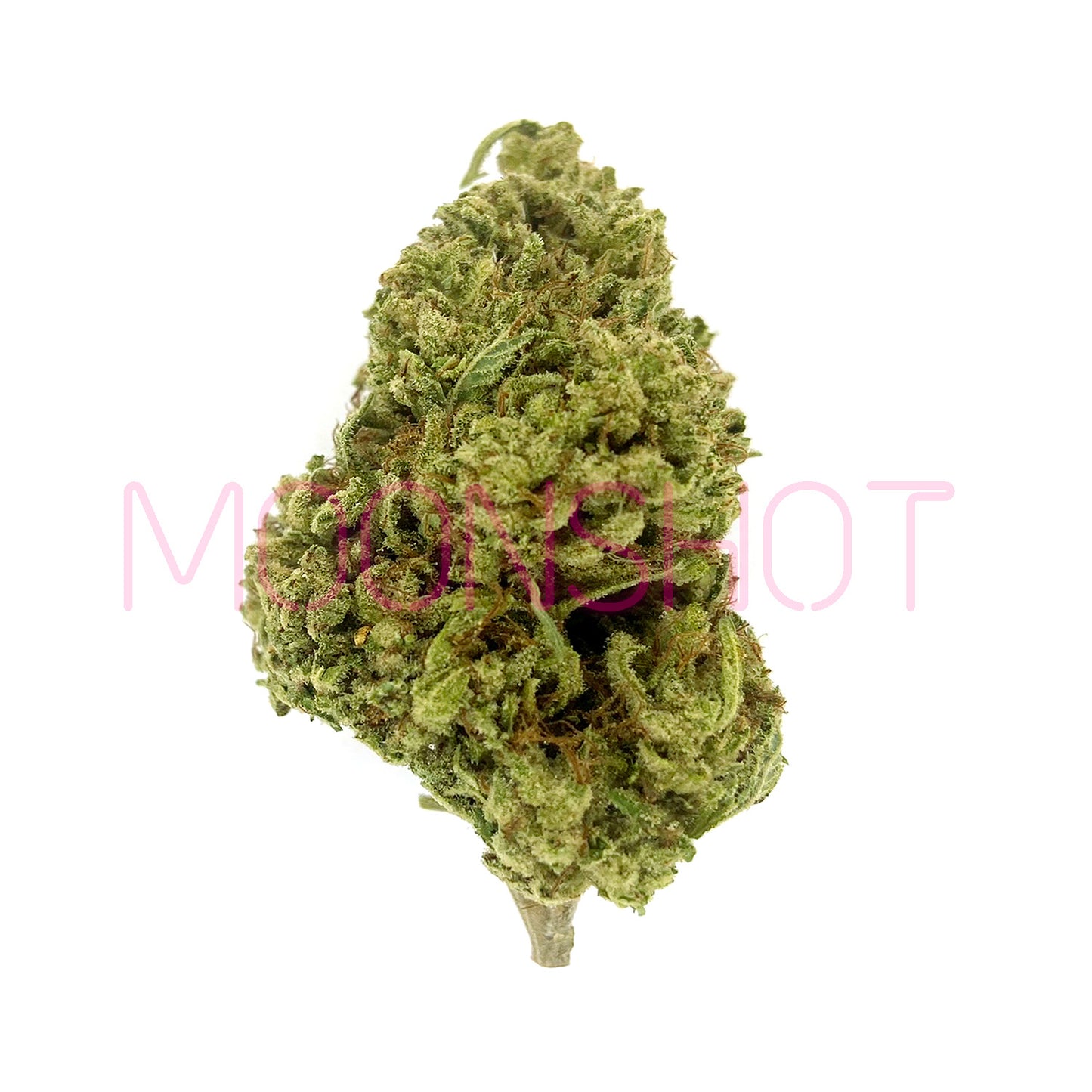 Tranquil Living Soil High THCA Indoor Flower 1g Preroll - OG Kush Indica 17%