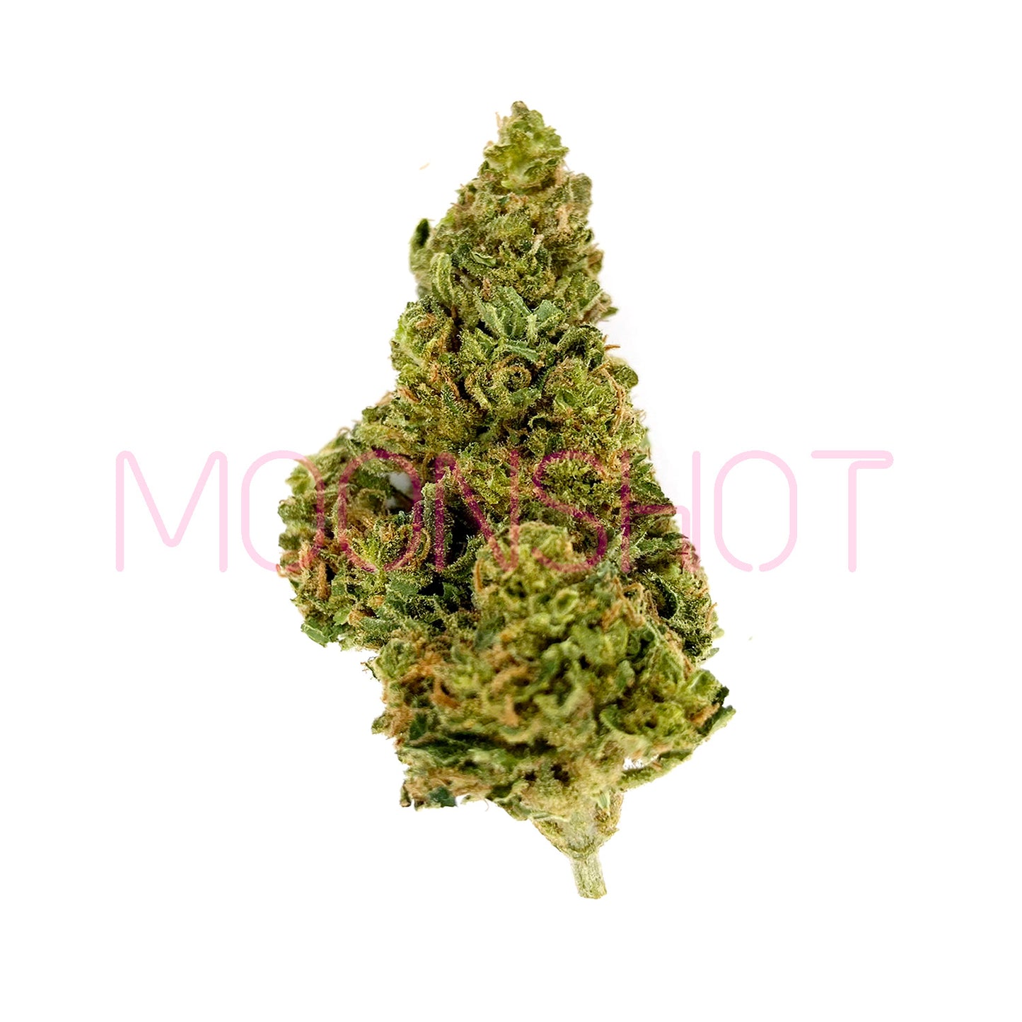 Tranquil Living Soil High THCA Indoor Flower 1g Preroll - Trainwreck Sativa 23%