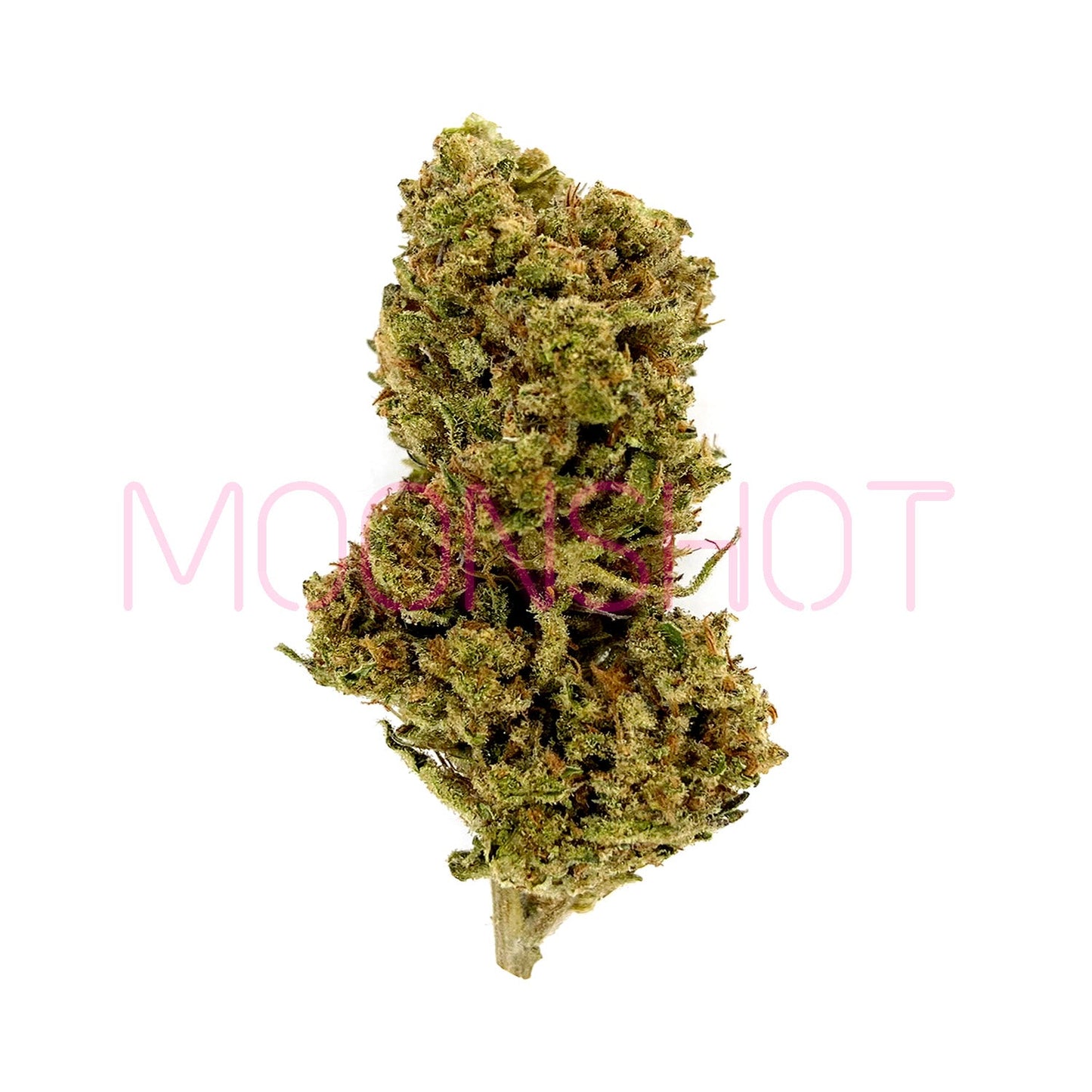 Tranquil Living Soil High THCA Indoor Flower White Widow Indica 19.7%