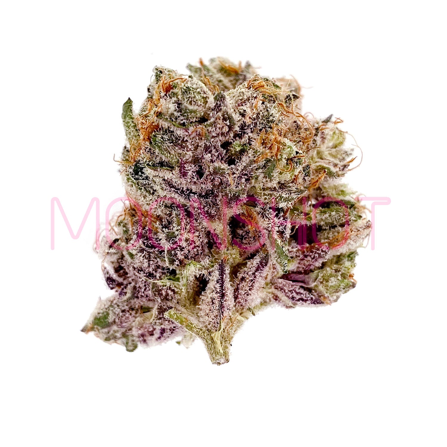 A nug of cannabis flower from the Black Rainbow Sherbert strain sits against a white background.