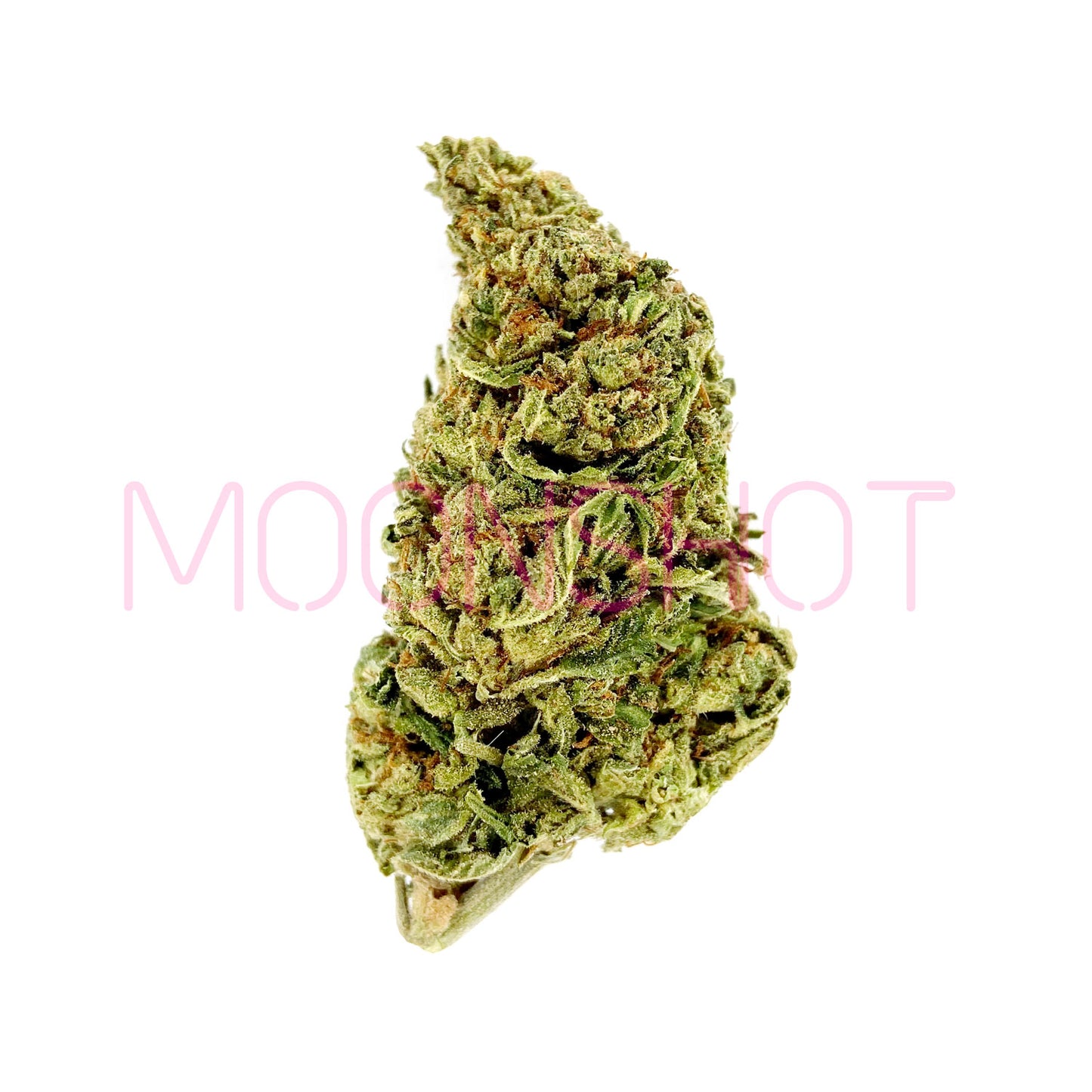 A nug of cannabis flower from the Sour Diesel strain sits against a white background.
