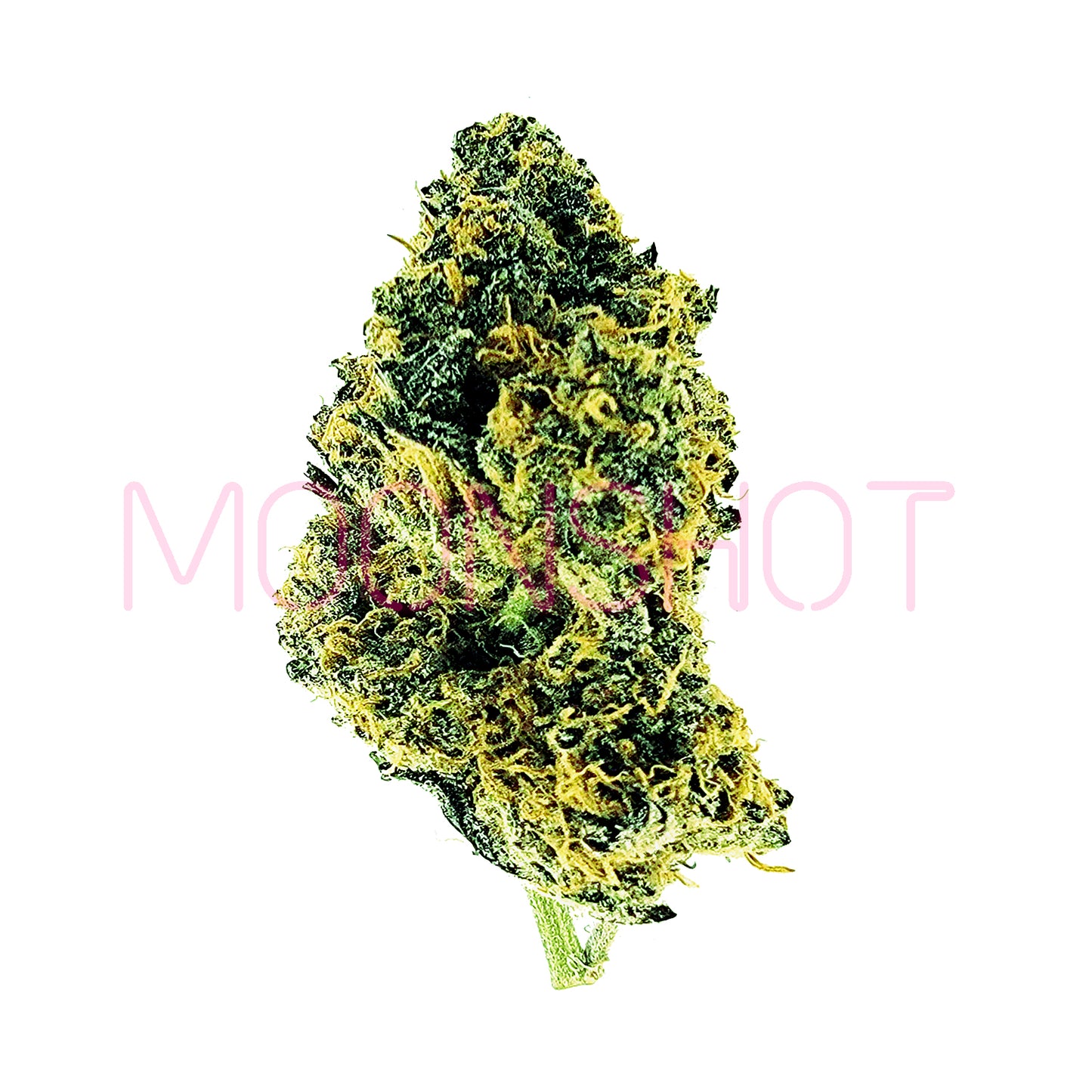 A cannabis nug of the Lemon Cherry Gelato strain on a white background.