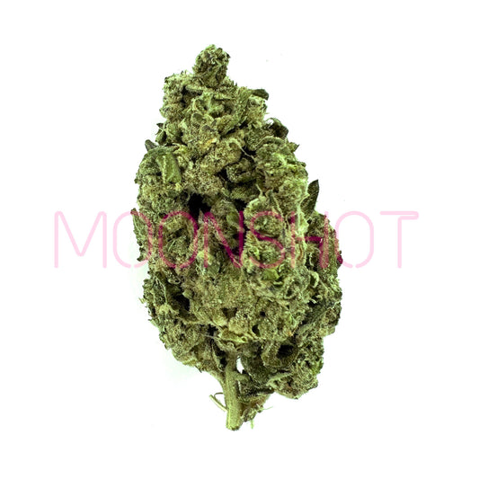 A nug of cannabis flower from the Grape Gas strain sits against a white background.