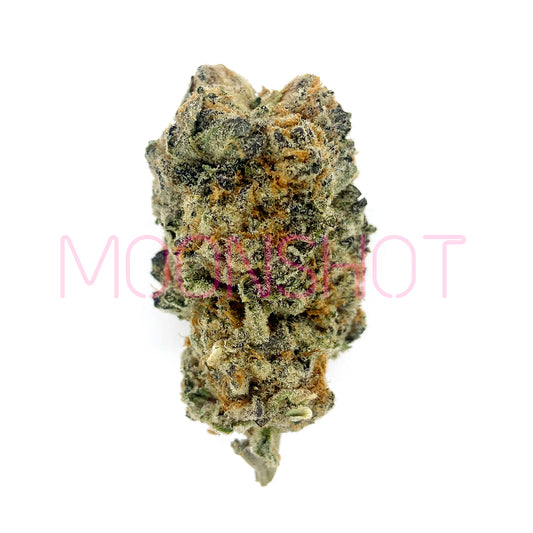 A nug of cannabis flower from the Molotov Cocktail strain sits against a white background.