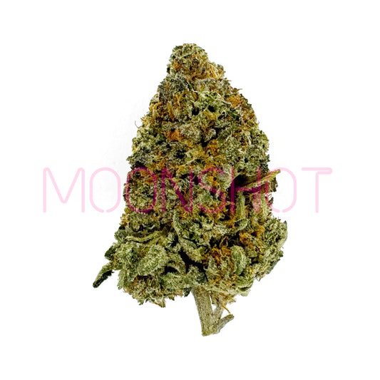 A nug of cannabis flower from the Platinum Cartel strain sits against a white background.