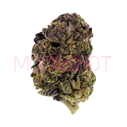 A nug of cannabis flower from the Purple Cream strain sits against a white background.